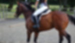 Saddle Ridden 2.JPG