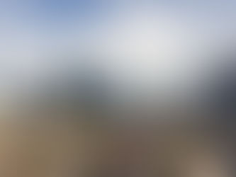 Indonésie - Un acteur émergent 