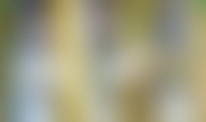 [Melodic] Sleepwear - CBBE SE