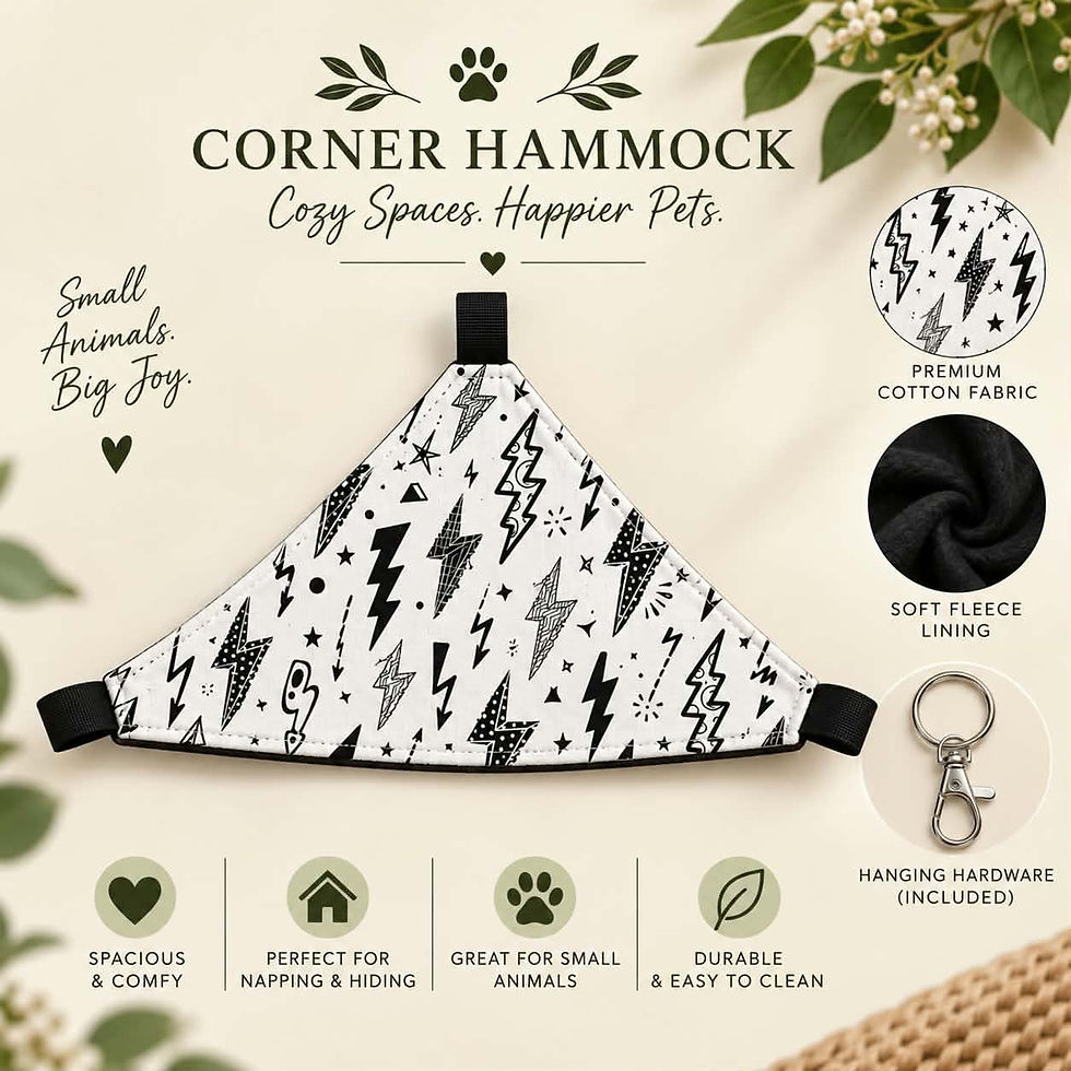 Thumbnail: Corner Hammock