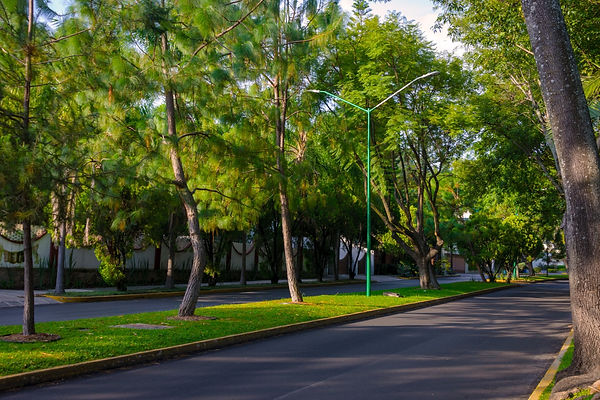 WhatsApp Image 2025-10-10 at 17.42.27.jpeg