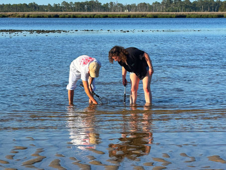 Why Shark Tooth Hunting Is One of Wilmington's Most Popular Outdoor Adventures