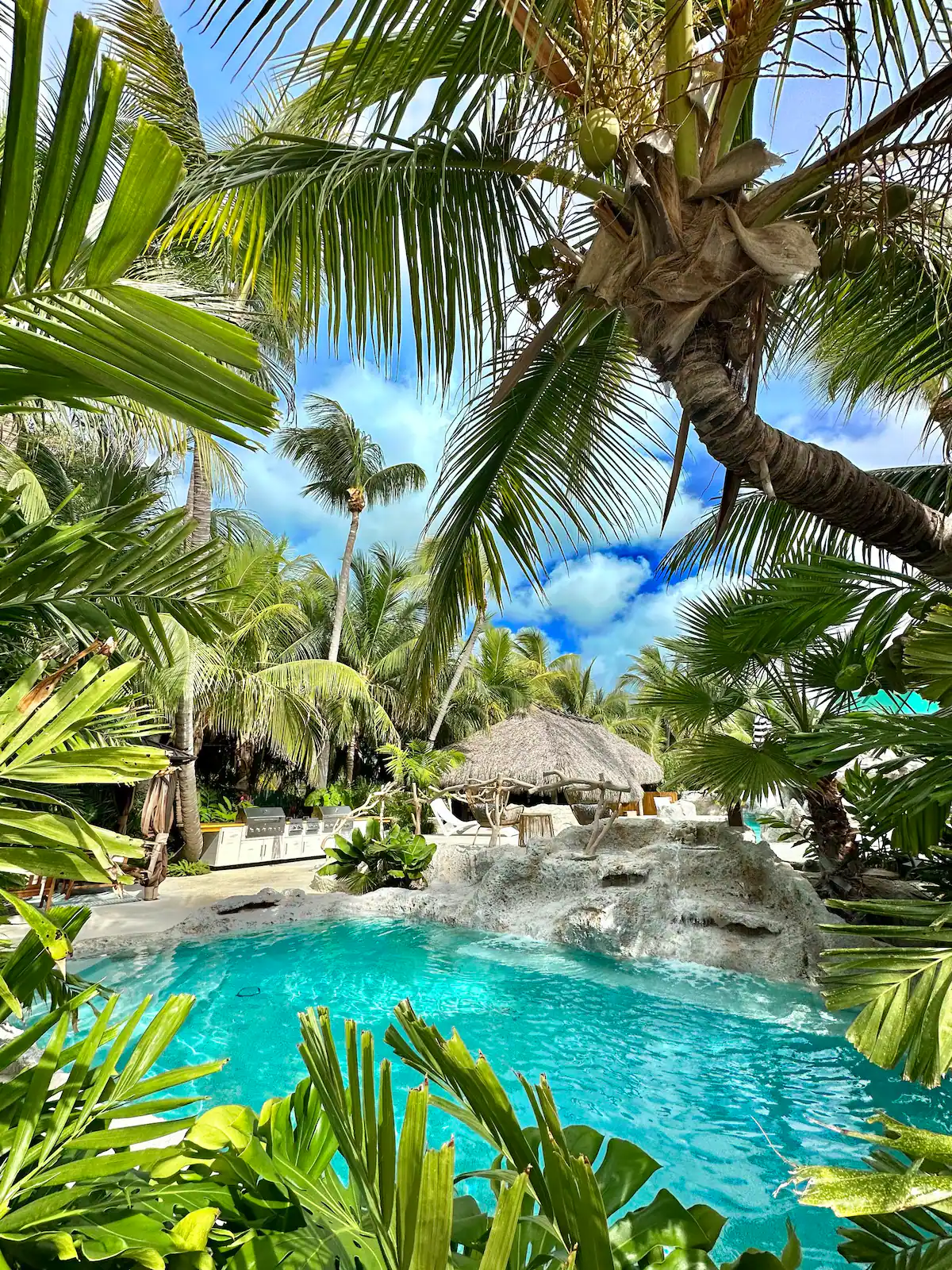 Florida Pool.webp