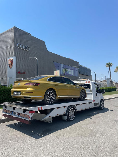 WhatsApp Image 2026-02-09 at 01.10.09 (12).jpeg