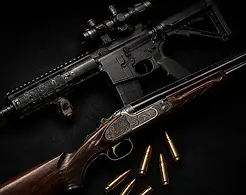 Assault rifle, shotgun, and ammunition