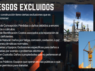 RIESGOS Y BIENES EXCLUIDOS, ENDOSO Y ANEXOS ADICIONALES, NIVELES DE RIESGOS SINIESTRALIDAD Y MEDIDAS DE PROTECCIÓN