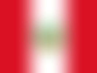 Impacto Social: Ranking de Empresas Perú 2025