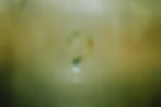 humidité fourgon condensation