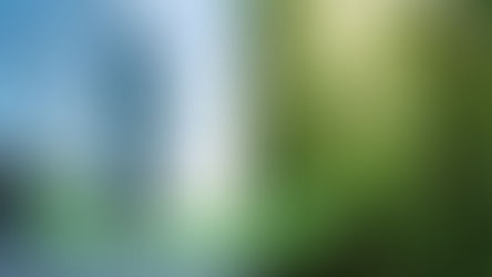 What is a Corporate Carbon Strategy? A Success Guide for Companies