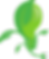 Eco