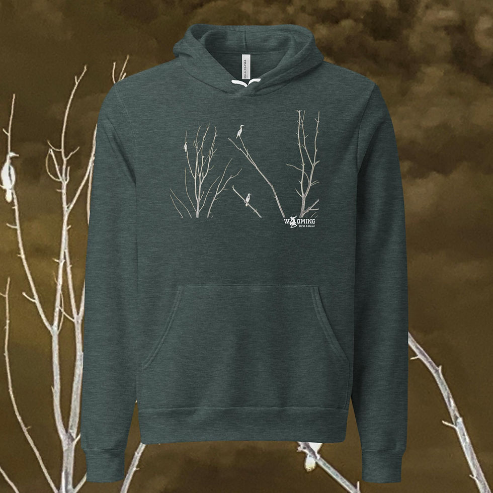 Thumbnail: “For the Birds” Unisex hoodie