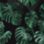 background for songs