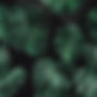 modern, dark green, black background, minimal, monstera plant, realistic, audio, music.jpg