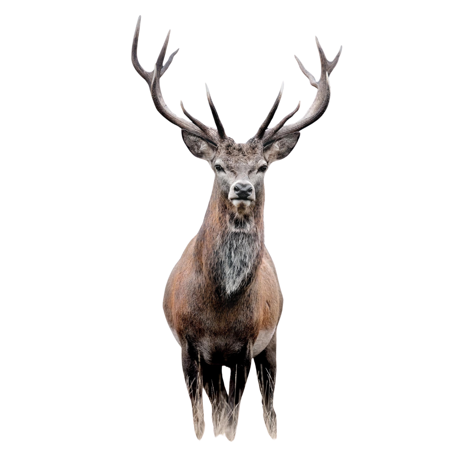 Untitled design - 2025-09-19T163417.271.png