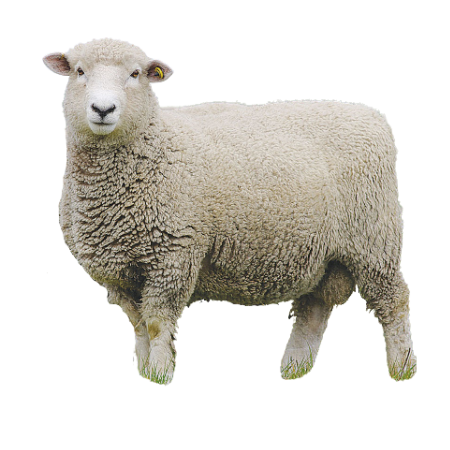 Untitled design - 2025-09-19T162811.372.png