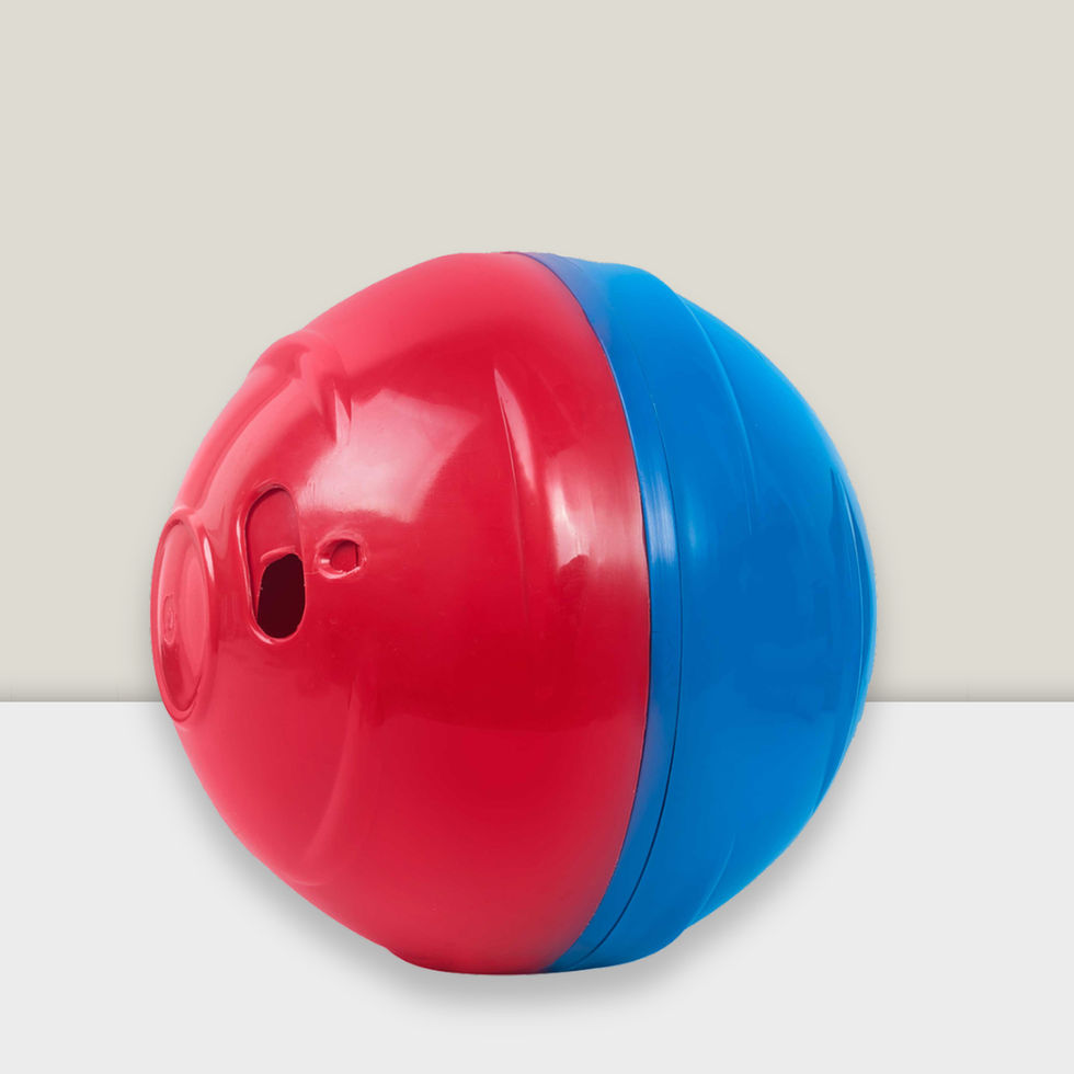 Uma bola do tipo dispenser para cães