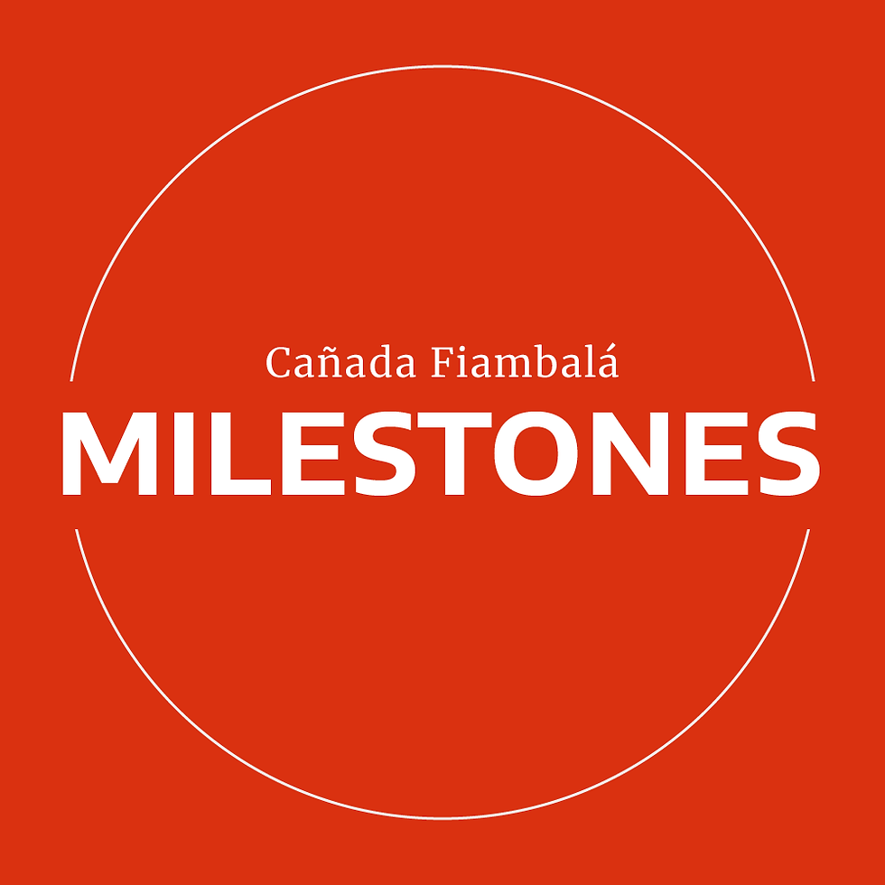 360e_Parque_Fiambala_Crono-eng-01