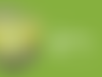 Publicamos nosso Relatório de Sustentabilidade 2024: um ano de conquistas ambientais, sociais e econômicas na transição energética.