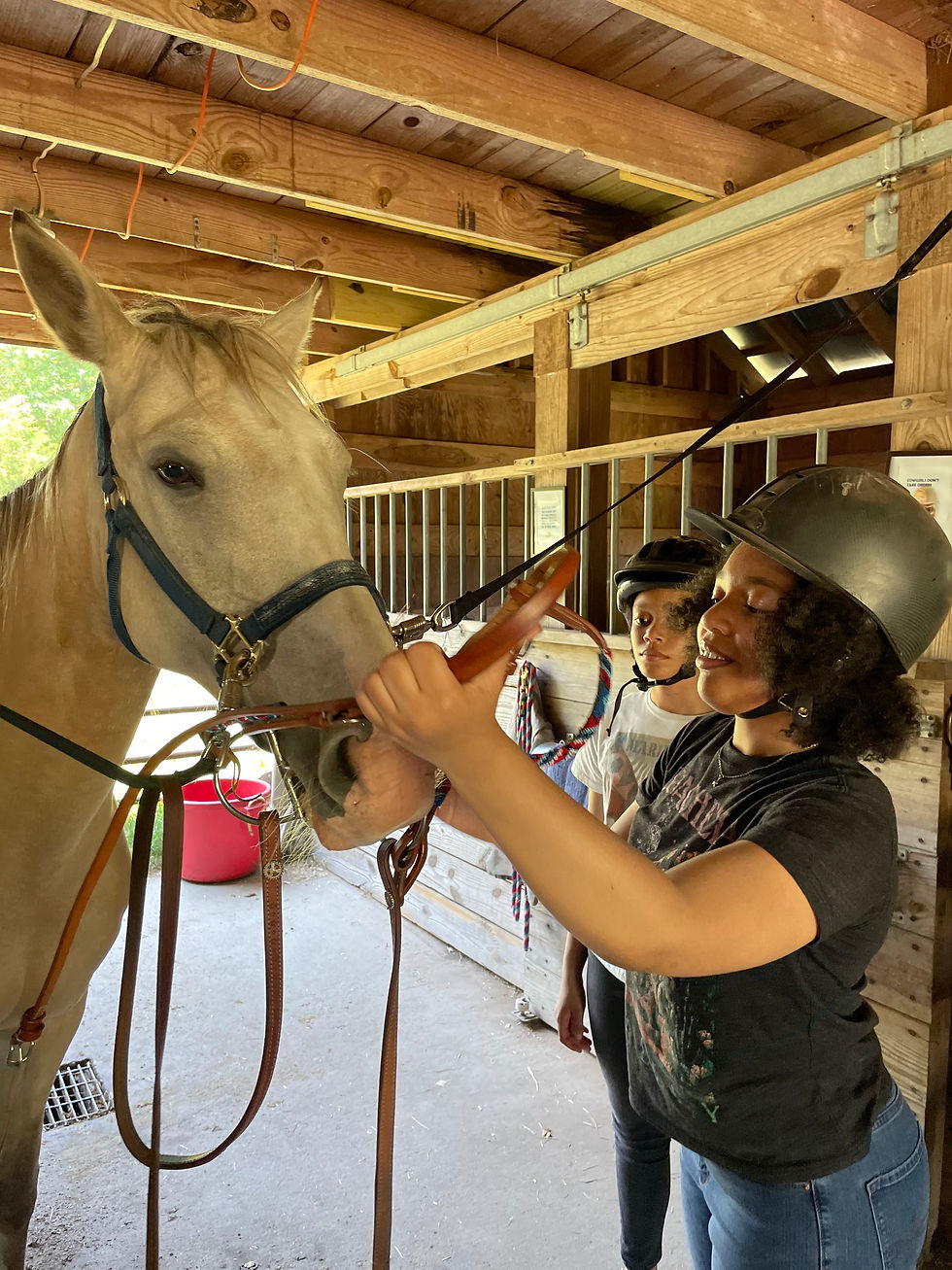 Teen Equine Leadership Camp | June 5-7