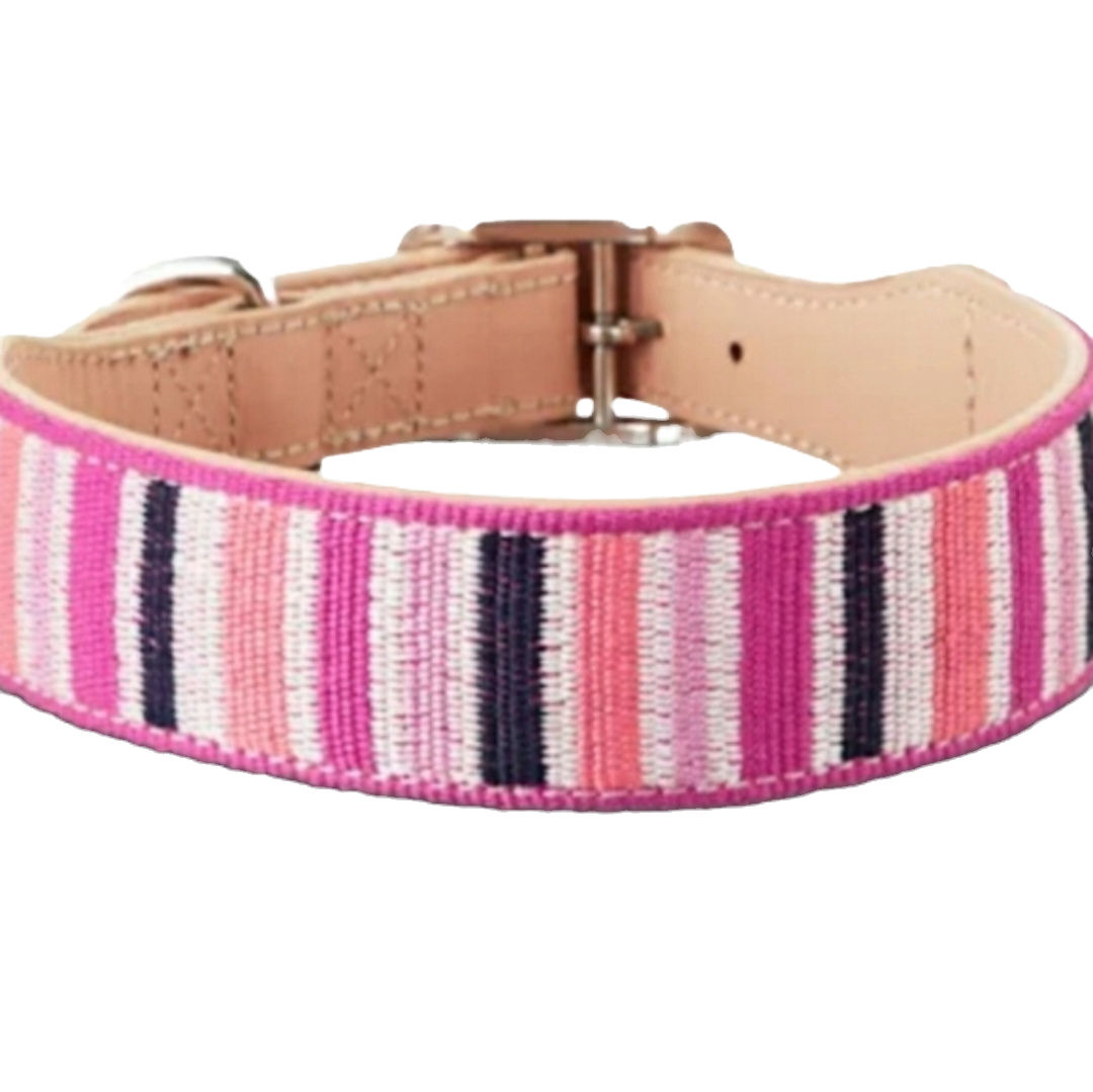 Bond & Co. Sorbet Striped Dog Collar-Small