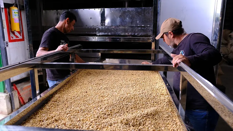 Thumbnail: September Colombia Luna Bermudez Whole Bean