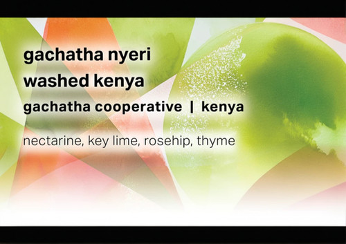 Moonwake Kenya Gachatha Whole Bean
