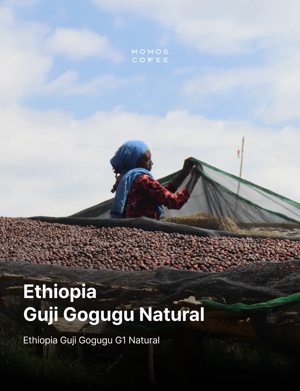Thumbnail: Momos Ethiopia Gogugu Whole Bean