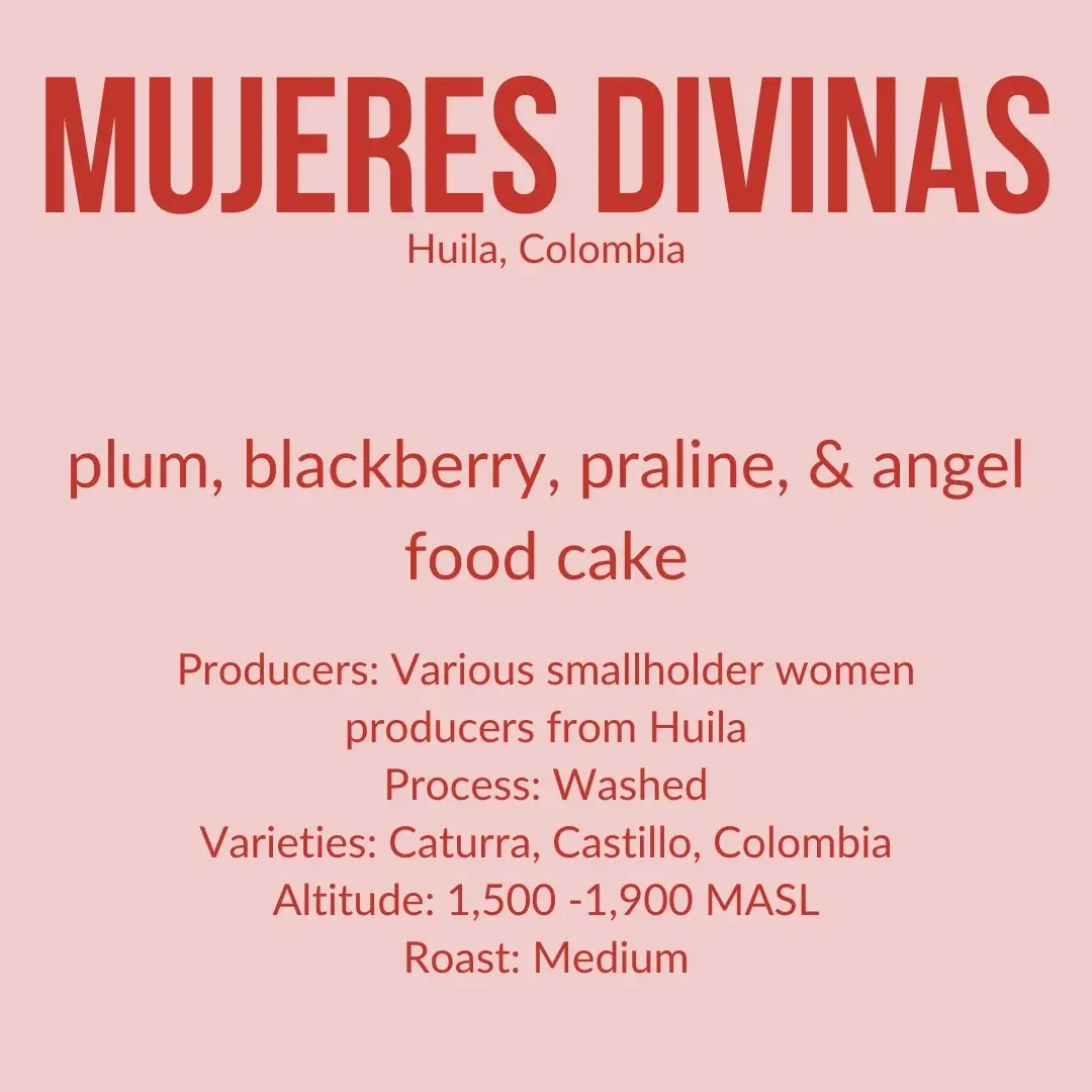 Little Waves Colombia Mujeres Divinas Whole Bean