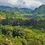 Thumbnail: KB Honduras Don Pancho Whole Bean 2.2lb / 1kg