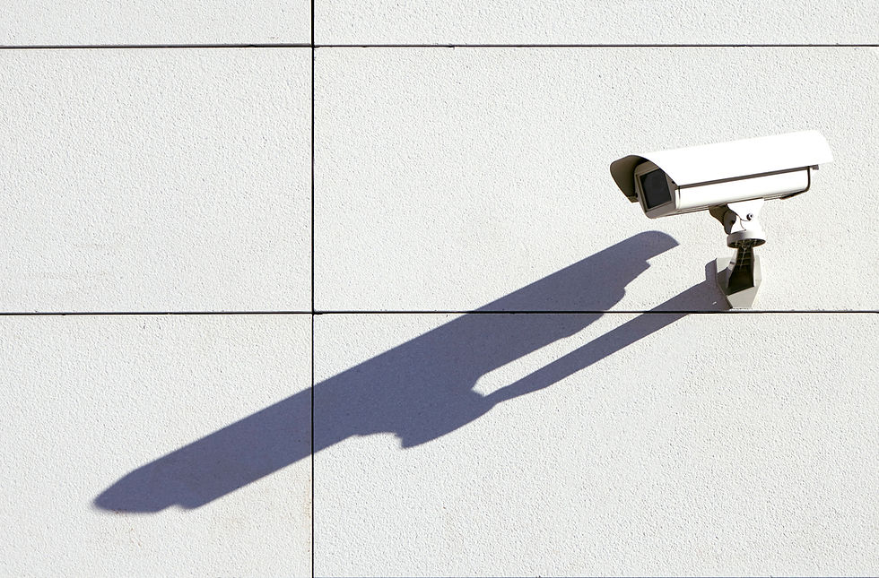 Security Surveillance