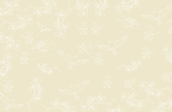 Website background 4.png