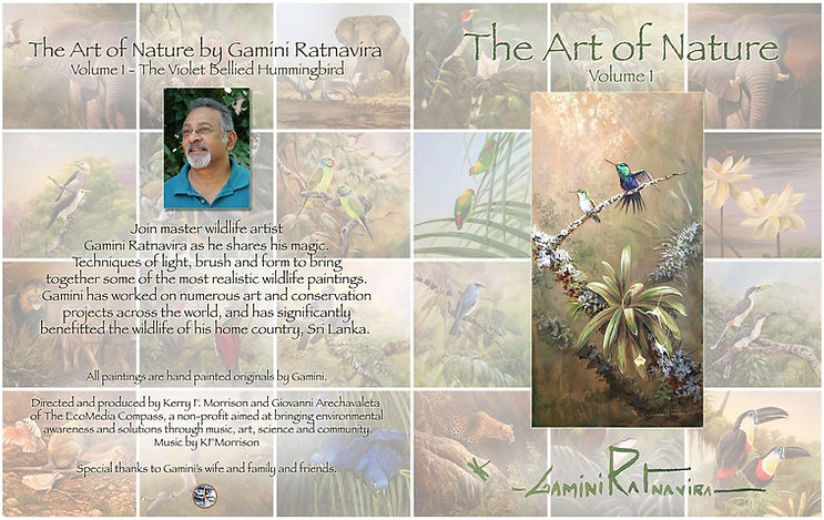 The Art of Nature Volume 1, The Violet Bellied Hummingbird
