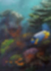 SOLD - Blue Face Angel Fish