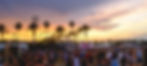 Coachella & Festivals