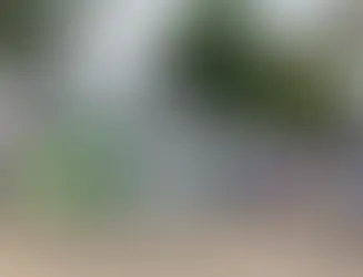 Earth Day 2024 Celebration at Patna Women College: Eco Task Force