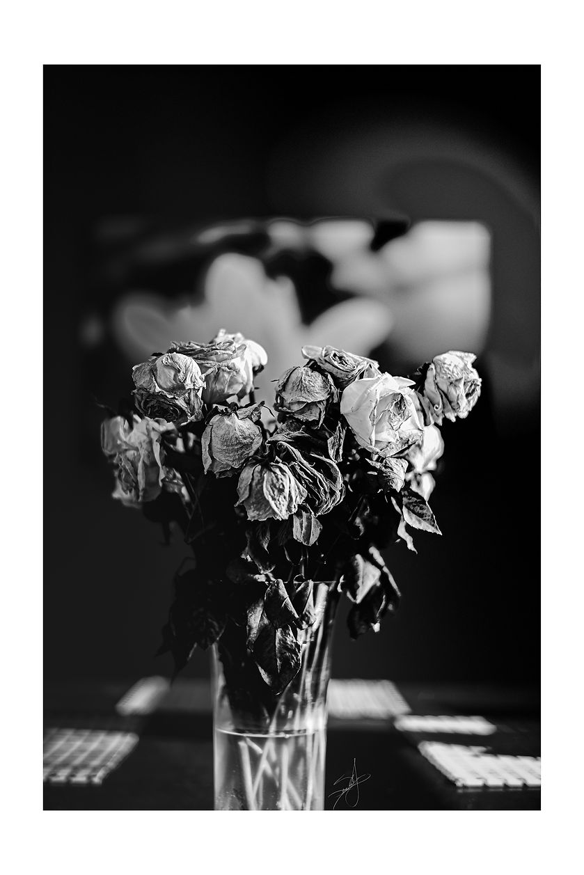 IMG_3997_Dying Flowers_SinclairJones_VisAudigyLLC_3x.jpg