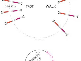 Groundwork Exercises - Poles on a circle