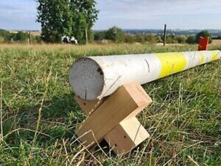 A lot of fun with just one pole