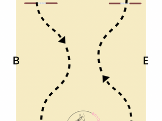 Playing with stride length exercise 7