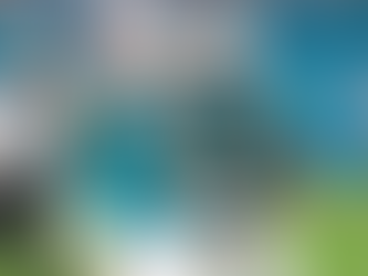 Predicting Dolphins 2025 Wins by Schedule