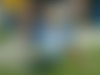 Fantasy Football Playoffs: Start 'Em-Sit 'Em Week 15