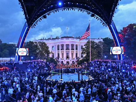 Breaking Down UFC at the White House to non-UFC Fans