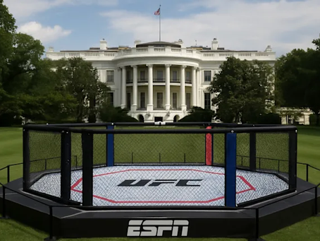The State of UFC: a FansOnlySportz Special Report