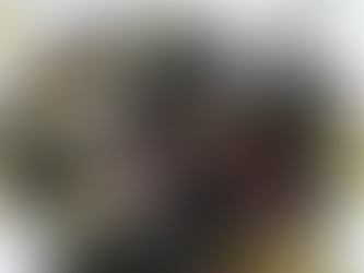 Won't Go Down Quietly