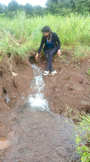 Actual photos of premises.