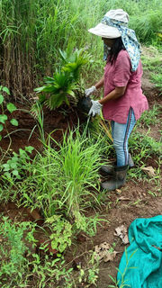 Actual photos of FOODnSTAY, Karjat.