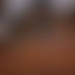 What your Star Sign says about your Garden 