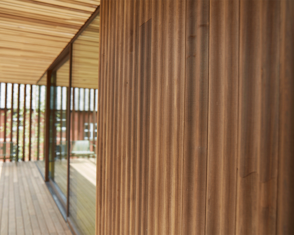 ThermoWood Tulipwood Detailed