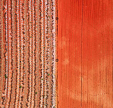 곽풍영 님 작품1.jpg