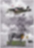 a06-09-2 Metamorphosis-II - bindaas artistgroup.jpg